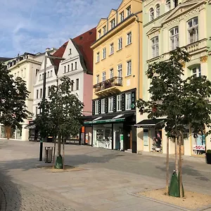Orchidej U Vridla Apartment